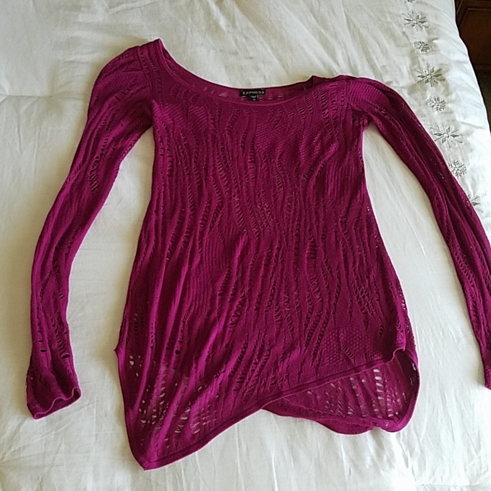 Express Sheer Sweater